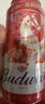 百威【哈宝同款】世界杯礼盒版啤酒【40周年限定】500ML*12中秋送礼 实拍图