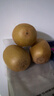 佳沛（zespri）新西兰阳光金奇异果10粒巨大果单果146-175g 猕猴桃水果礼盒 实拍图