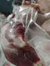 金锣猪带膘前腿肉2斤冷冻带膘猪腿 猪肉生鲜猪前尖 实拍图