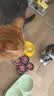 网易严选猫湿粮零食浓汤红肉罐头 金枪鱼扇贝口味85克*24罐 实拍图