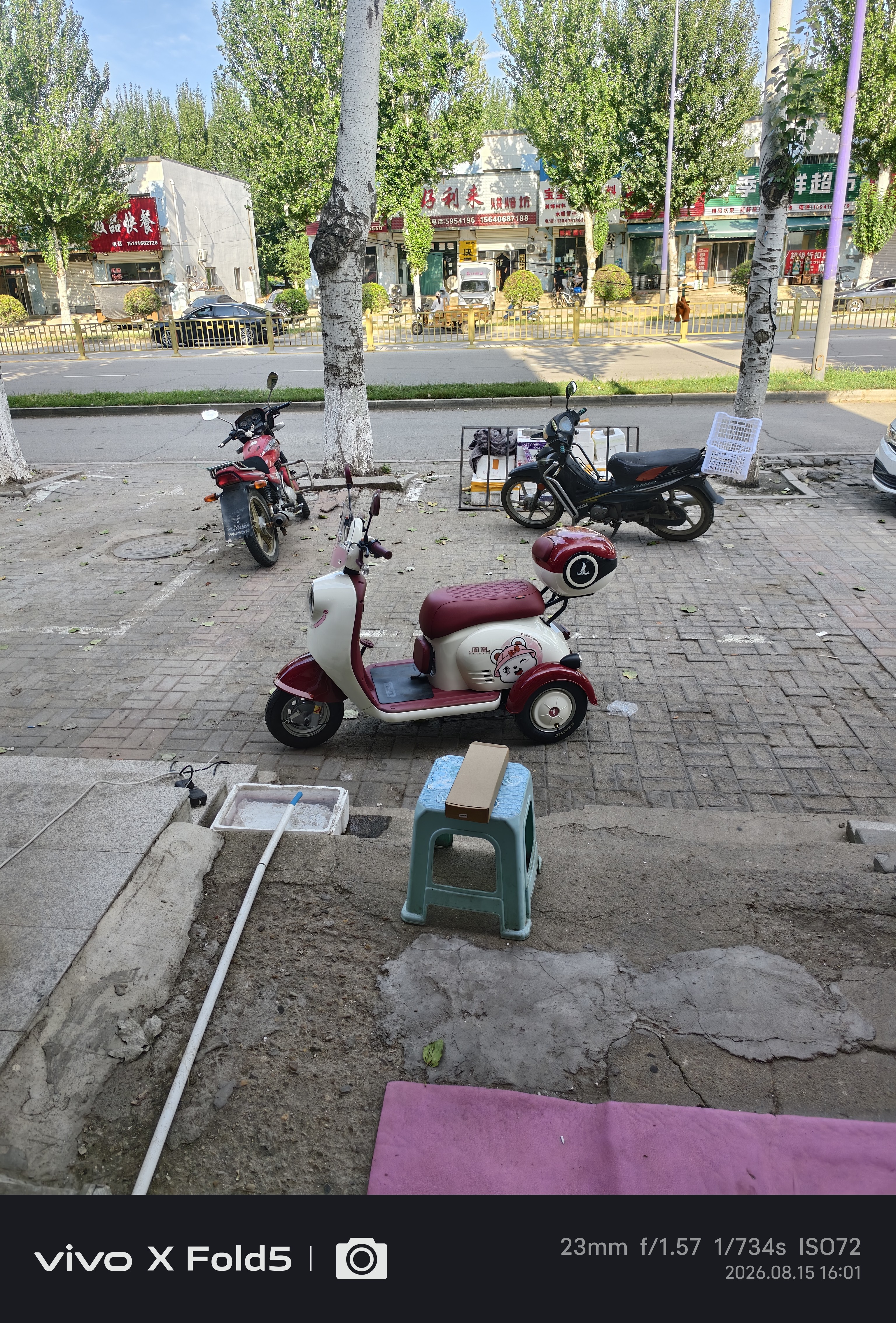 凤凰（Phoenix）甲壳虫电动车三轮车小型电动摩托车休闲家用小型女士新国标电三轮 【甲壳虫MAX标准版】续航约70里 实拍图