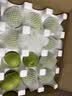 京觅陕西蒲城冰糖早酥梨子新鲜水果净重4.5斤单果170g+源头直发包邮 实拍图