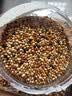 茨格曼鹦鹉饲料1200ml混合鸟粮 五色黍子牡丹虎皮玄凤八哥画芦丁鸡饲料 实拍图