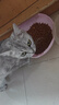 parlmu帕蓝姆四拼冻干猫粮成幼猫通用天然粮全价猫粮1.5kg 实拍图