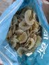 同芙 海底椰片500克 新鲜海底椰干片浓香煲汤料煮糖水食材 雪梨膏材料 实拍图