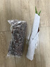 劉閣蘭花兰花苗世界上超香四季兰帝王妃 金边矮种夏带浓香花苞花卉盆栽 2大壮苗+1包土 实拍图