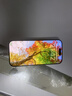 Apple 苹果 iPhone 17/16/15/14/13/12/11/X系列二手手机 规格见质检报告 苹果 iPhone 16 Pro 实拍图