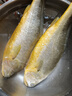 三都港 冷冻黄花鱼700g/2条装 宁德大黄鱼 深海鱼 生鲜 鱼类 海鲜水产 实拍图