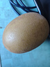 佳沛（zespri）绿奇异果特大果22-25个原箱装单果约135-176g 猕猴桃 水果 实拍图