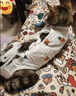 欢宠网宠物猫咪绝育服猫手术服母猫衣服断奶术后恢复猫猫小猫透气防舔衣 实拍图