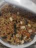 宠易生鹦鹉粮虎皮小太阳鹦鹉鸟粮谷子带壳粮食玄凤鹦鹉饲料中小型1KG 实拍图