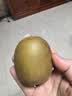 佳沛（zespri）新西兰阳光金奇异果 8个装 特大果单果重约124-146g 水果猕猴桃 实拍图
