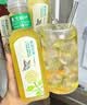 农夫山泉【新口味】东方树叶陈皮白茶500ml*15瓶无糖茶饮料0糖0脂0卡 实拍图