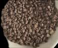冠能猫粮成猫鸡肉味猫粮60g*3 全价猫粮 稳固免疫 适口性强 实拍图