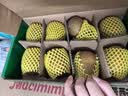 佳沛（zespri）新西兰阳光金奇异果 8个装 特大果单果重约124-146g 水果猕猴桃 实拍图