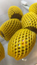佳沛（zespri）新西兰 阳光金奇异果12粒特大果单果124-146g 猕猴桃水果礼盒 实拍图