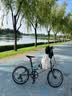 大行（DAHON）P8折叠自行车20英寸8级变速单车KBC083  消光灰绿【JD定制】 实拍图