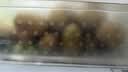 佳沛（zespri）新西兰 阳光金奇异果12粒特大果单果124-146g 猕猴桃水果礼盒 实拍图