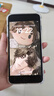 Apple苹果iPhone17/16/15/14/13/12pro/max系列 二手手机内存以质检报告为准 苹果 iPhone 8 Plus 实拍图