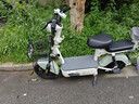 驰小虎电动自行车 吉祥虎新国标电动车电动自行车48V12Ah铅酸电池长续航电瓶车成人代步车电车 绿色 实拍图