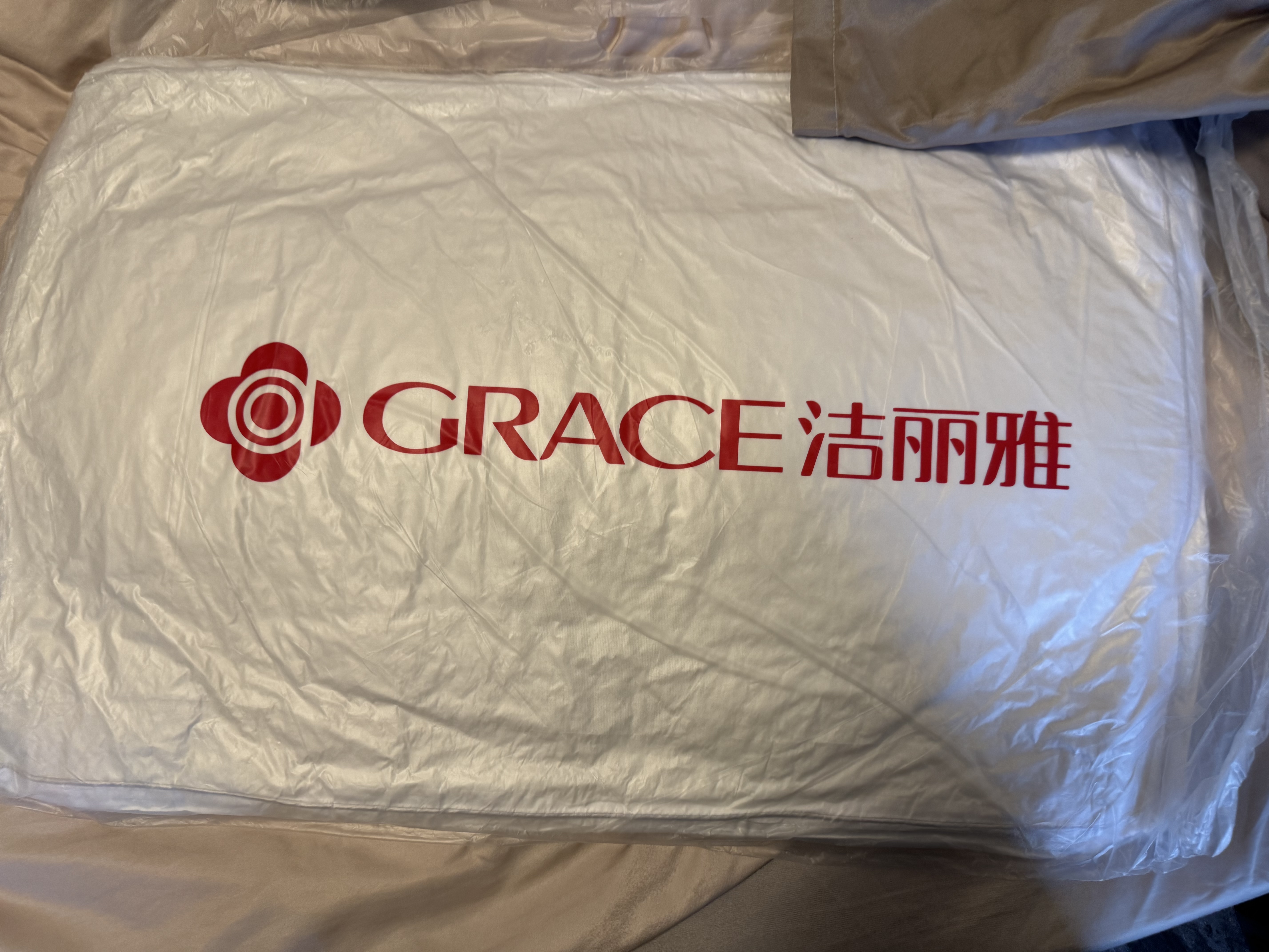 洁丽雅（Grace）纤维枕星级酒店枕头枕芯46*72cm一对装（2只装） 实拍图