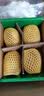 佳沛（zespri）新西兰阳光金果4粒装单果约103-114g 猕猴桃新鲜水果源头直发 实拍图