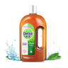 滴露（Dettol）消毒液250ml 衣物消毒水家居环境地板消毒 衣物除菌剂 灭活HPV16 实拍图