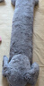 野兽派家居（tbh）懒蓝猫长条抱枕 枕头靠垫家用客厅沙发腰枕床头靠枕礼物 大象条形抱枕35X120cm 0cm*0cm 含枕芯 实拍图