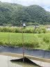 鸣胜1600万高清4g太阳能摄像头室外无电无网农村果园野外户外手机远程无线监控器360度无死角夜视追踪 双镜头1600万超清+30天循环录像卡 实拍图