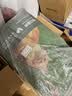 皇家猫粮 幼猫奶糕 幼猫猫粮 BK34 通用粮 1-4月 10KG 实拍图