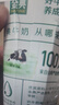 伊利【新鲜日期】金典纯牛奶整箱 200ml*24盒 3.6g乳蛋白 礼盒装 6月 实拍图