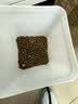 parlmu帕蓝姆四拼冻干猫粮成幼猫通用天然粮全价猫粮1.5kg 实拍图