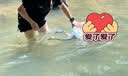 康迪拉家族儿童游泳圈洗澡玩具卡皮巴拉3-6-12岁男女孩游泳装备充气加厚防漏 实拍图