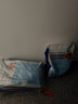 LEGENDSANDY蓝氏狗粮通用金毛拉布拉多泰迪鸡肉三文鱼金枪鱼15kg【囤货装】 实拍图