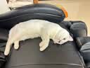 福丸 猫包外出便携包航空箱大号猫狗宠物手提式太空舱透气背包 冰玫粉 实拍图