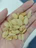 苏紫堂炒桃仁250g/袋 河北保定 中药饮片 无硫熏 去皮炒桃仁新货饱满桃仁山桃仁 中草药 中药材 实拍图