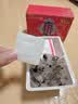 孔艾堂同仁堂艾草肚脐贴祛湿脾胃虚寒去除湿气重减肥排油燃脂瘦身肚子贴 实拍图