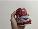 百威啤酒mini红罐淡色拉格255ml*12小罐整箱装京东自营喜酒 实拍图