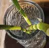 JEKO&JEKO家用药箱子家庭药品收纳箱儿童小药箱药品收纳盒医药箱出诊箱蓝色 实拍图