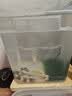 尼特利（NETLEA）滤材细菌屋鱼缸专用净水过滤材料水族养鱼纳米硝化细菌纤维环 微生物纤维球（1L/包） 实拍图