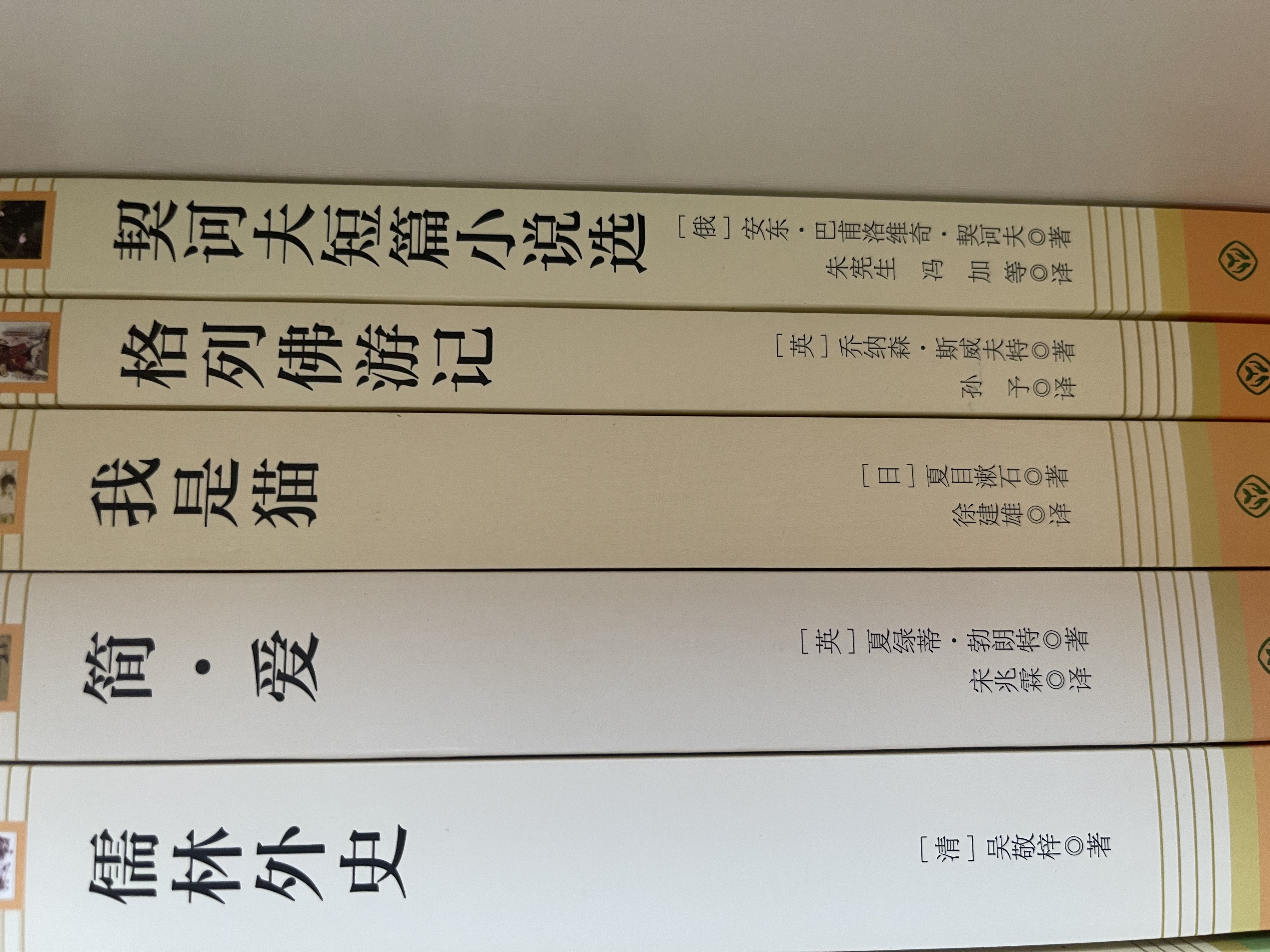 九年级下册名著（全5册）人教版：简爱+儒林外史+格列佛游记+我是猫+契诃夫短篇小说选 人民教育出版社人教版名著阅读课程化丛书 初中初三语文教科书配套书目 开学季 实拍图