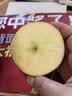 京觅云南昭通富士丑苹果15粒装 单果120g+米奇拉糖心苹果水果源头直发 实拍图