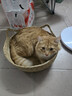 喵仙儿猫窝四季通用蒲草编织猫抓板窝网红藤编睡觉猫垫子 M【源头直发】 实拍图