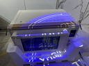 长帝（changdi）2026新品电烤箱风炉家用专业烘焙烧烤多功能大容量免预热热风空气炸烤箱小馋猫PLUS猫小易七夕礼物 实拍图