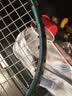 尤尼克斯（YONEX）羽毛球拍天斧10橄榄绿AX10超轻全碳素纤维进攻型单拍已穿线附手胶 实拍图