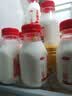 三元乐活高品质牛乳200mL*20瓶 学生牛奶  儿童牛奶 新老装交替发 实拍图