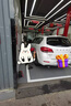 锦湖KUMHO汽车轮胎 225/65R17 102H KR26 适配哈弗H6/日产奇骏/昂科威 实拍图