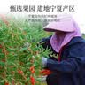 杞里香红枸杞子特优级大果枸杞500g新货宁夏中宁头茬免洗枸杞茶构苟杞茶 实拍图