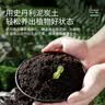 史丹利泥炭土营养土养花通用型专用育苗进口整包土壤种植土花土5斤 实拍图