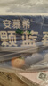 伊利安慕希整颗蓝莓200g*8瓶/箱 礼盒装 实拍图